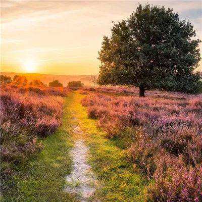 亿博app官网首页